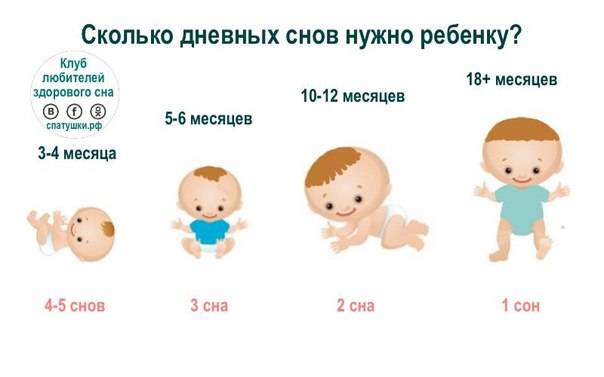 Сколько должен спать ребенок в 2 месяца: днем и ночью, нормы часов