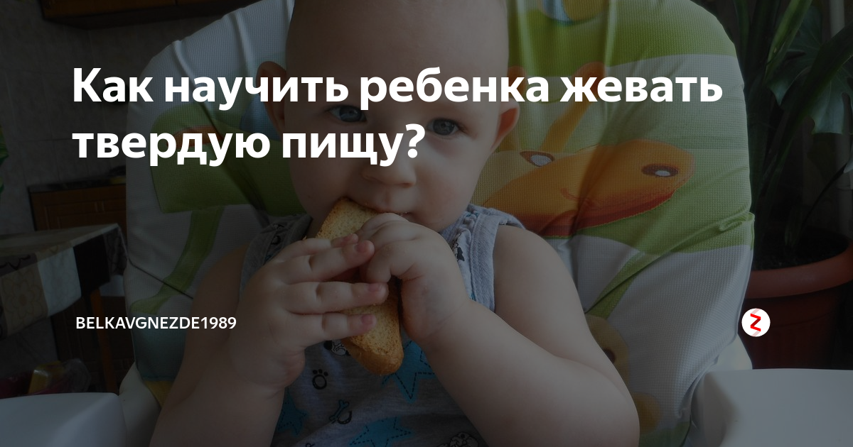 Как научить ребенка есть кусочками: от пюре к твердой пище - mums.ru