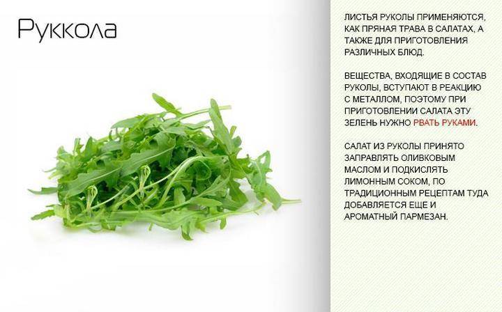 Можно ли салаты при грудном вскармливании: как правильно употреблять листовые салаты кормящей маме?