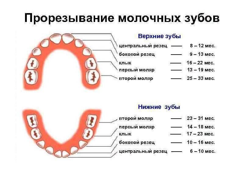 Лечение молочных зубов Томск Завокзальная судебный участок 1 октябрьского района томска