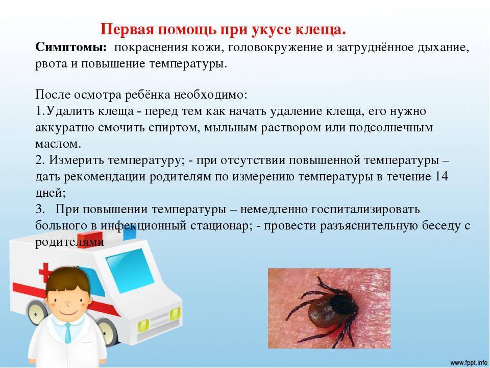 Сильная реакция на укусы насекомых у детей: с чем это связано и как помочь? : главное, новости, проверено: ivbg.ru