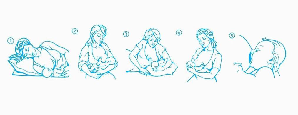 Секреты правильного кормления грудью: сидя, лежа и другие позы