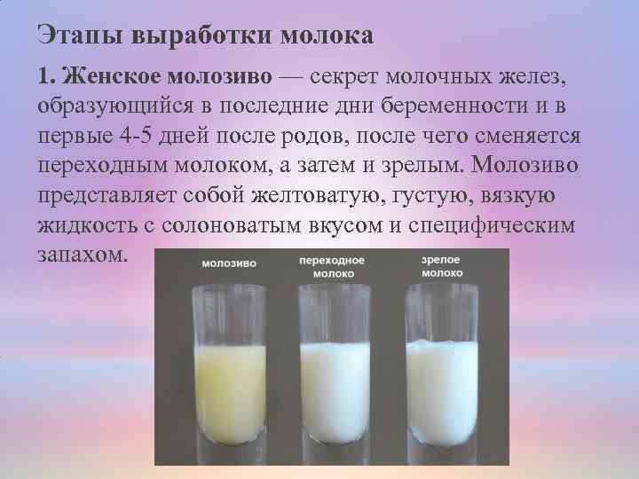 Жирность коровьего молока: как ее повысить с помощью рациона и условий содержания ао "витасоль"