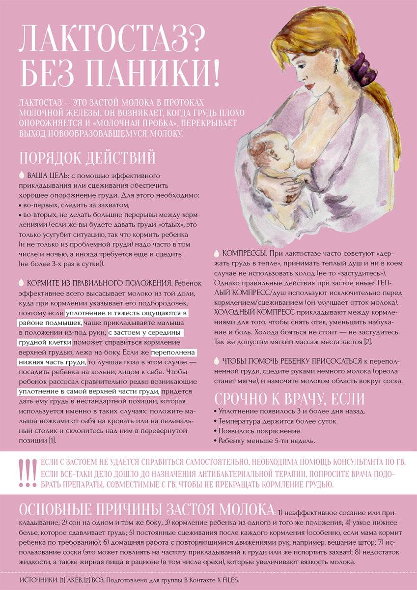Мастит: проблемы с кормлением — срочно бегите к маммологу • центр гинекологии в санкт-петербурге