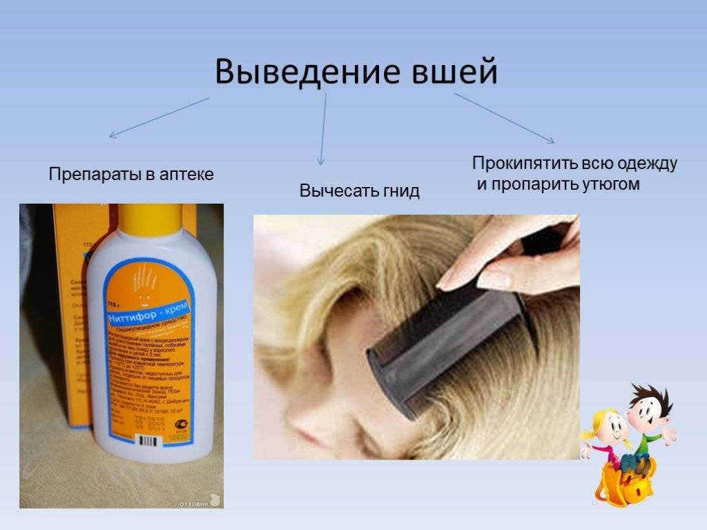 Вши у детей. профилактика и лечение педикулеза - гауз со верхнепышминская  центральная городская больница  имени п.д.бородина