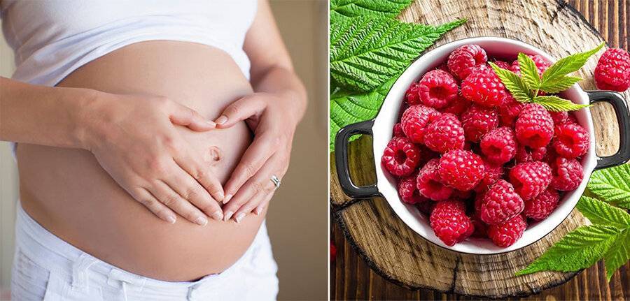 Малина при беременности: можно ли употреблять ягоды и варенье во время 1–3 триместров?