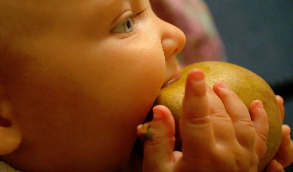 Можно ли груши кормящей маме в первый месяц - здоровый ребенок