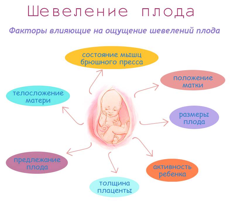 Во сколько недель начинает шевелиться ребенок при 1 и 2 беременности, ощущения мамы, возможные проблемы