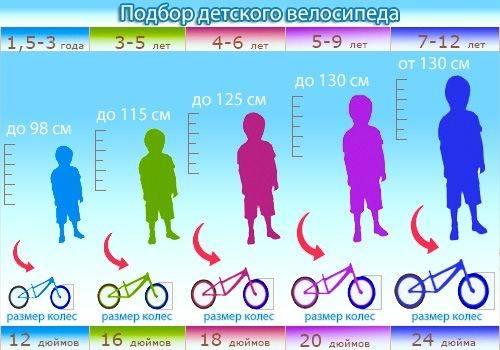 Как правильно выбрать детский велосипед для ребенка