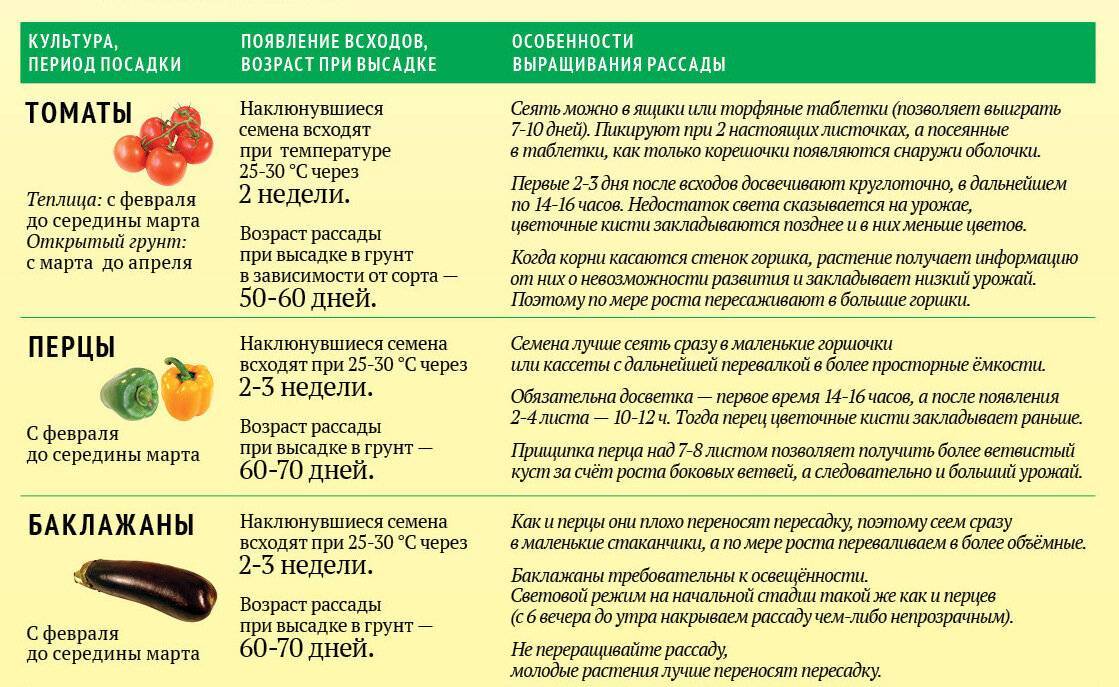Болгарский перец детям: польза и возрастные рекомендации