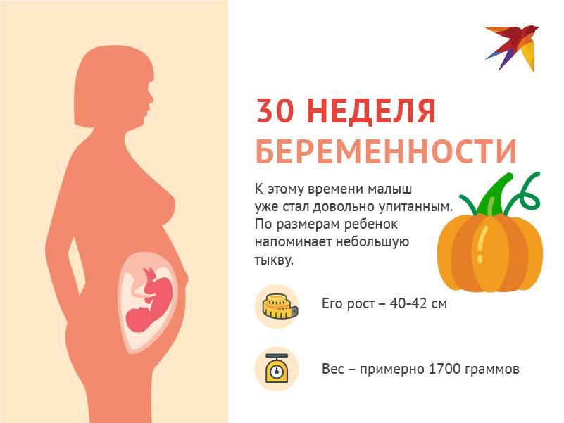 30 недель беременности | клиника ведения беременности в пятигорске