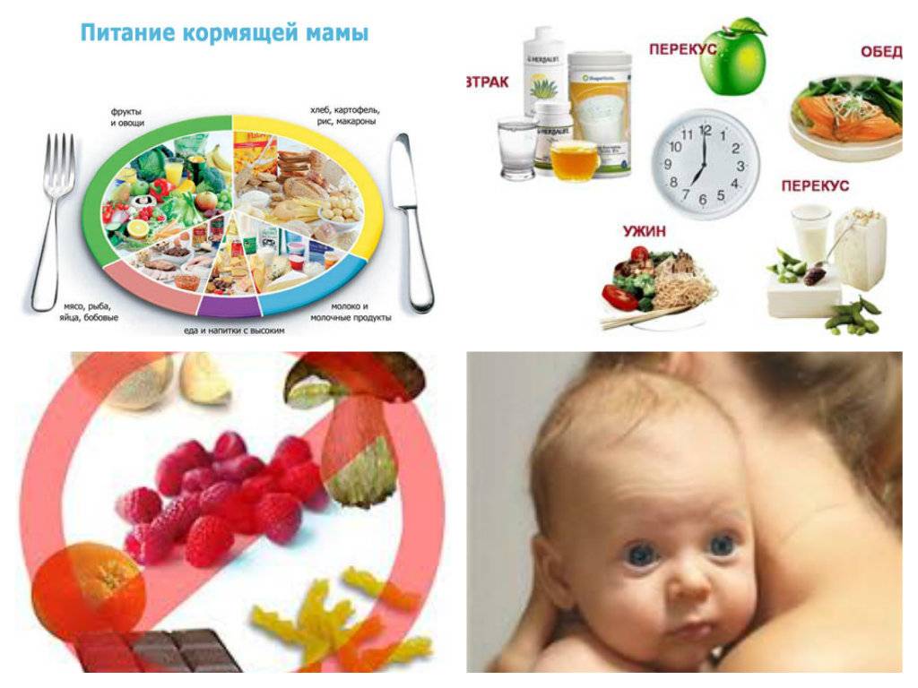 Правильное питание кормящей мамы: принципы + пп меню для похудения - glamusha