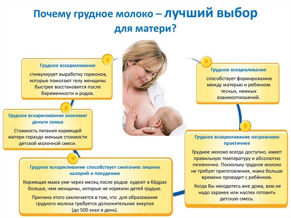 Застой молока у женщин после родов при кормлении грудью: причины и лечение * клиника диана в санкт-петербурге