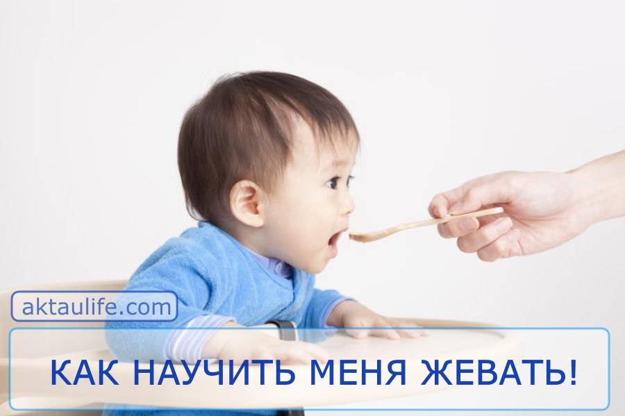 Как научить жевать кусочки. Как научить ребенка жевать. Как научить ребёнка жевать 1.2 года. Как научить ребенка жевать в 1 год. Как научить ребёнка жевать и глотать в 2 года.