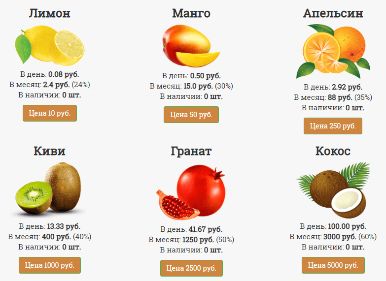 Манго – источник мудрости и король фруктов
