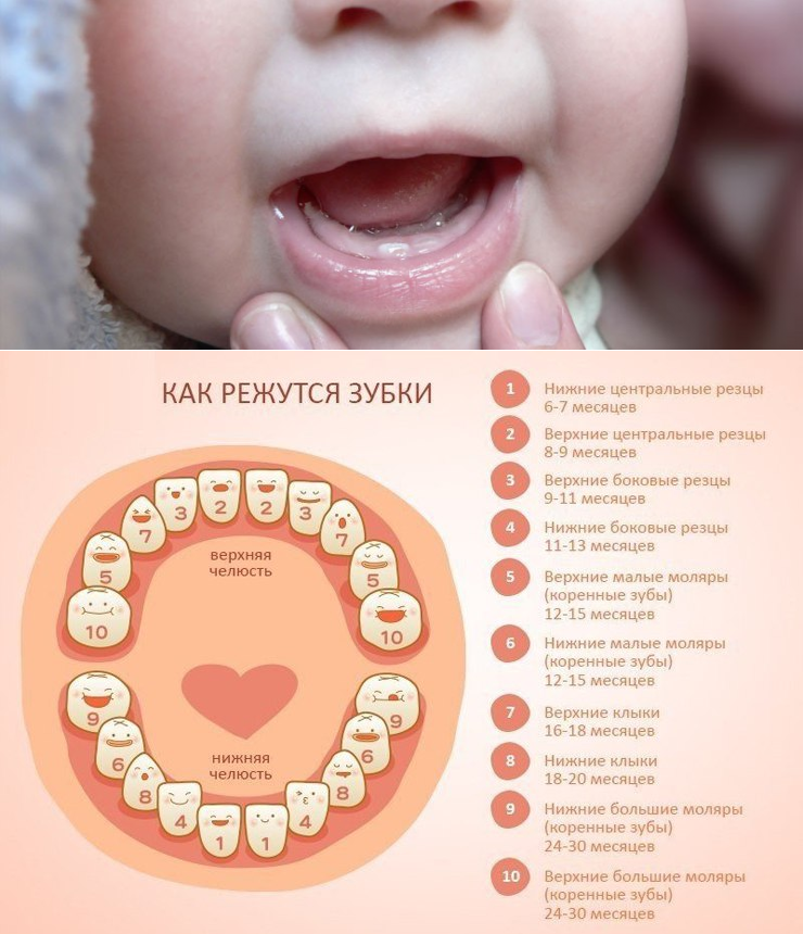 Что такое детские глазные зубы, симптомы и особенности прорезывания.