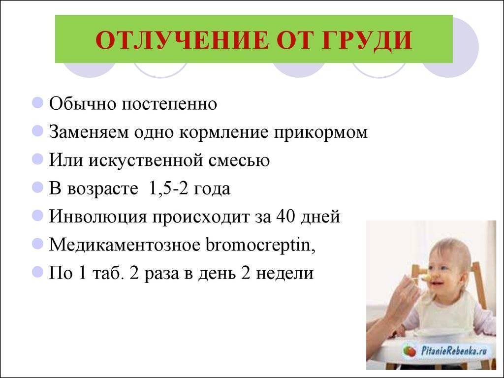 Как сократить ночные кормления? - agulife.ru