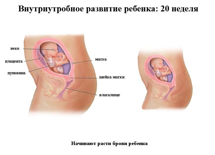 Ковид во время беременности: симптомы, лечение