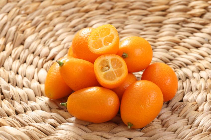 Кумкват: что это за фрукт, полезные свойства, как выращивать из косточки