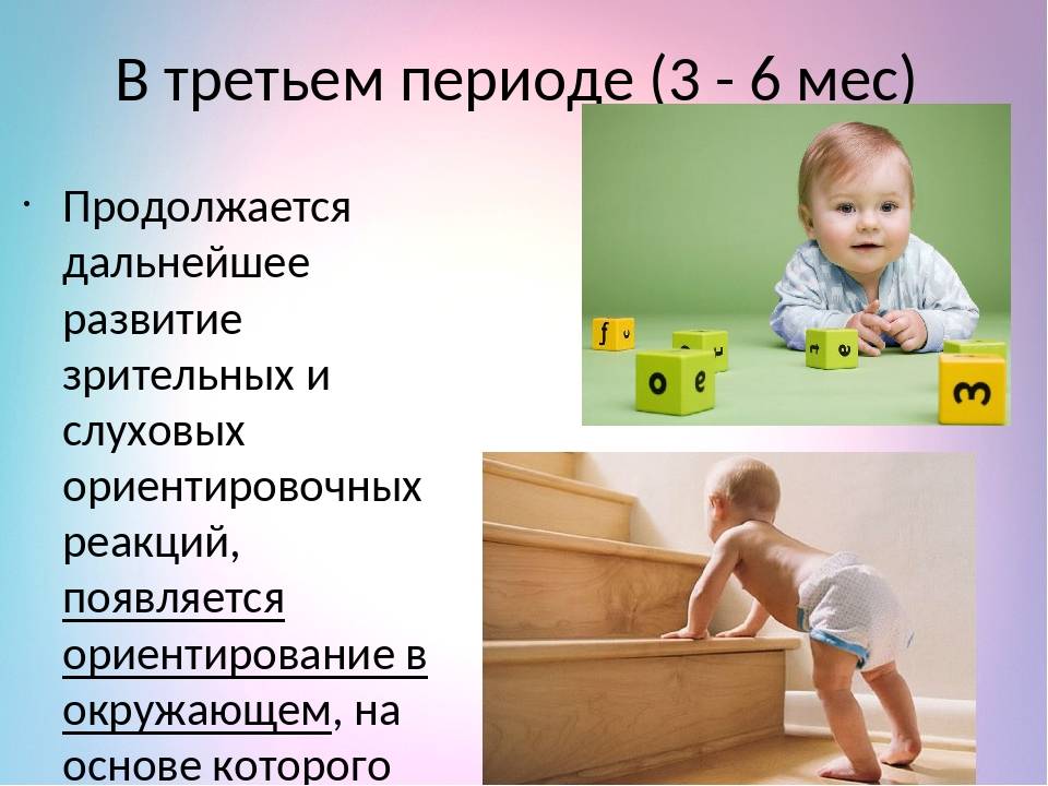 Развитие ребенка в 8 месяцев: рост, вес, что должен уметь ребенок в 8 месяцев | развитие 8 месячного малыша