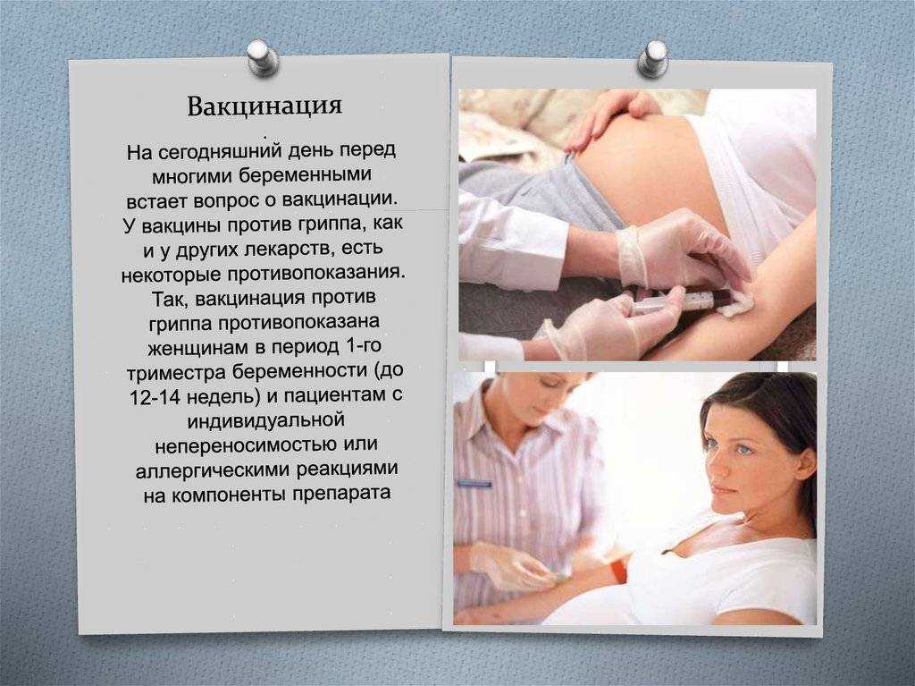 Прививки при планировании беременности