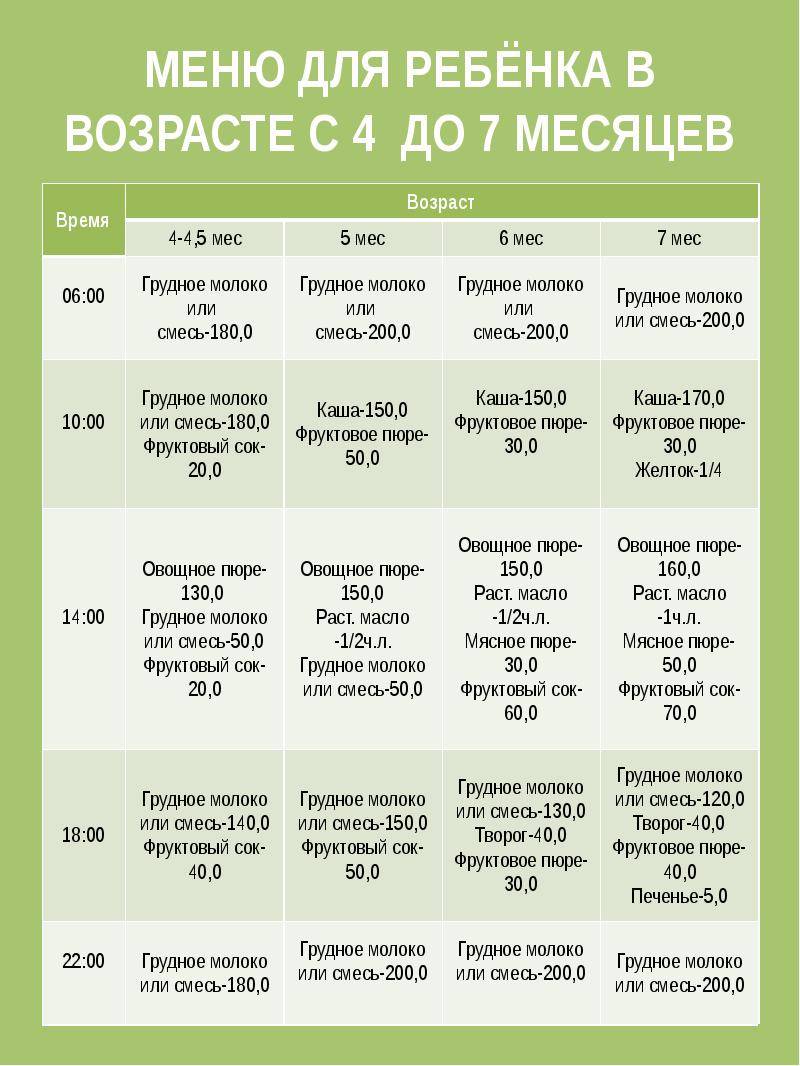 Сколько раз в день давать кашу в 7 месяцев комаровский