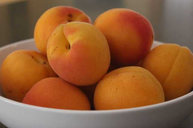 Персики при грудном вскармливании