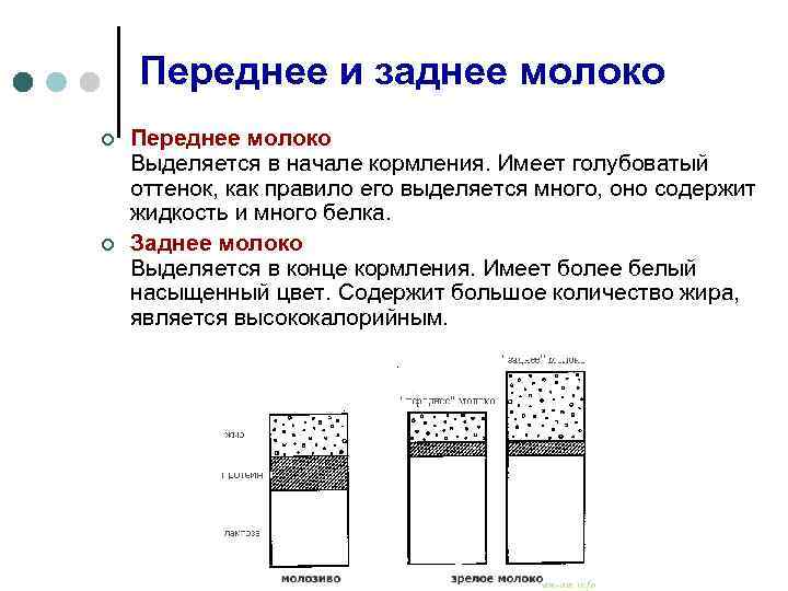 Состав грудного молока - топотушки