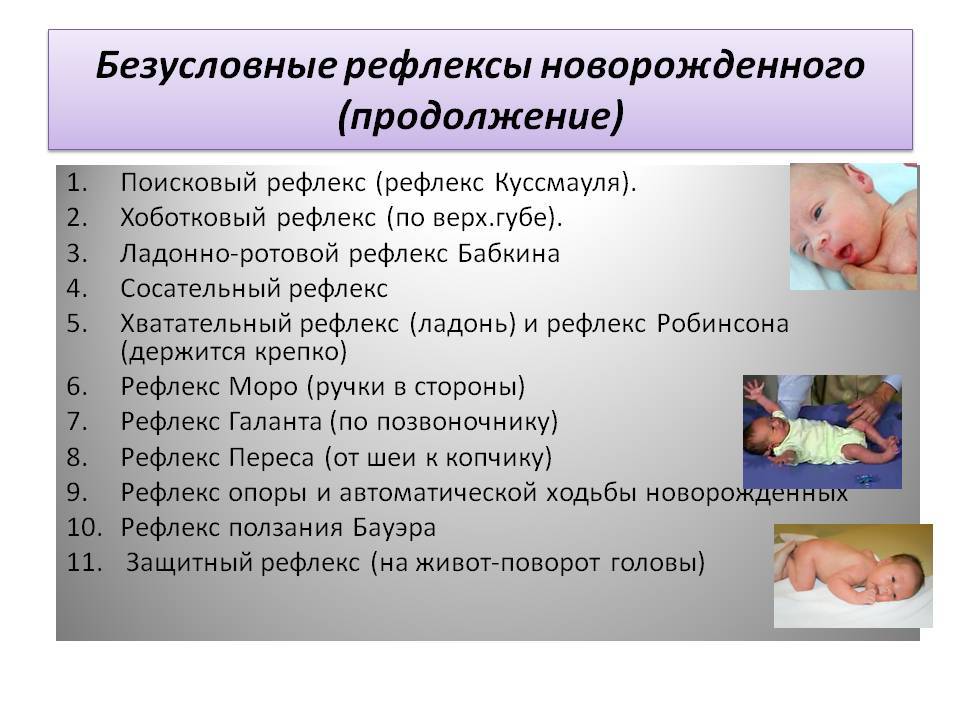 Нейрофункциональные особенности новорожденных. курсовая работа (т). психология. 2013-05-09