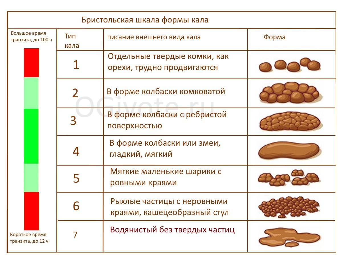 Бристольская шкала формы кала