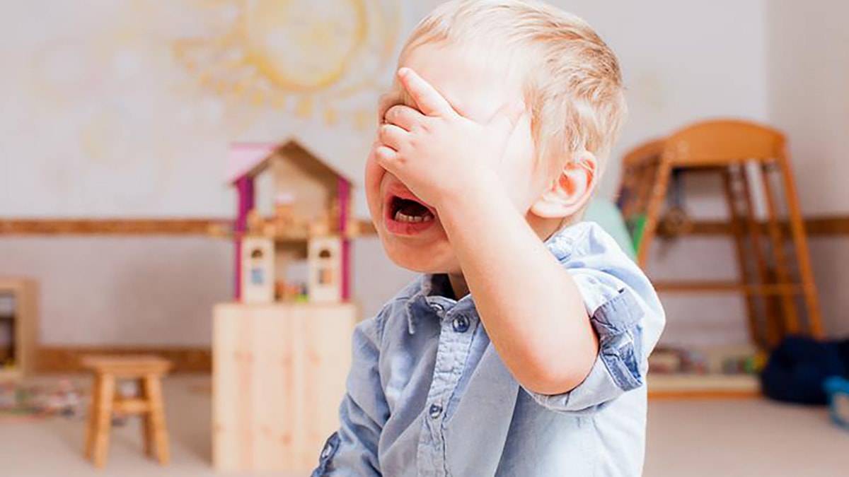 Почему ребенок не хочет ходить в детский садик? что делать, если постоянно плачет и не желает идти?