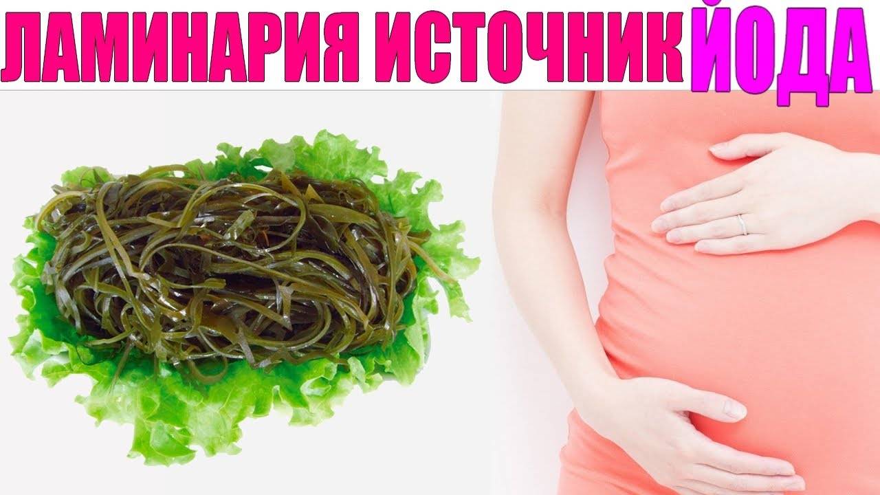 Морская капуста при беременности