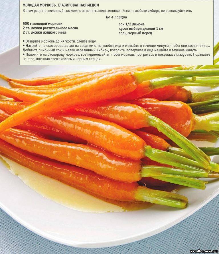 Морковь при грудном вскармливании: польза, вред и употребление