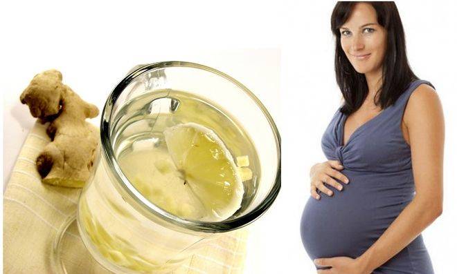 Имбирь при беременности: на ранних сроках, можно ли?