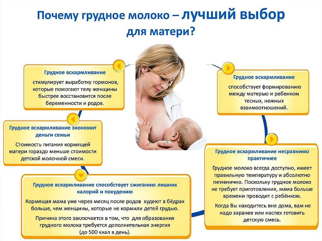Беременность при грудном вскармливании