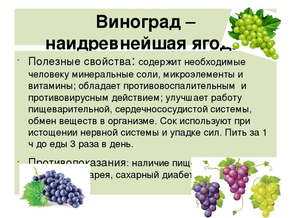 Как вводить фруктовое пюре в прикорм ребенка, начало прикорма ребенка с детского фруктового пюре - agulife.ru