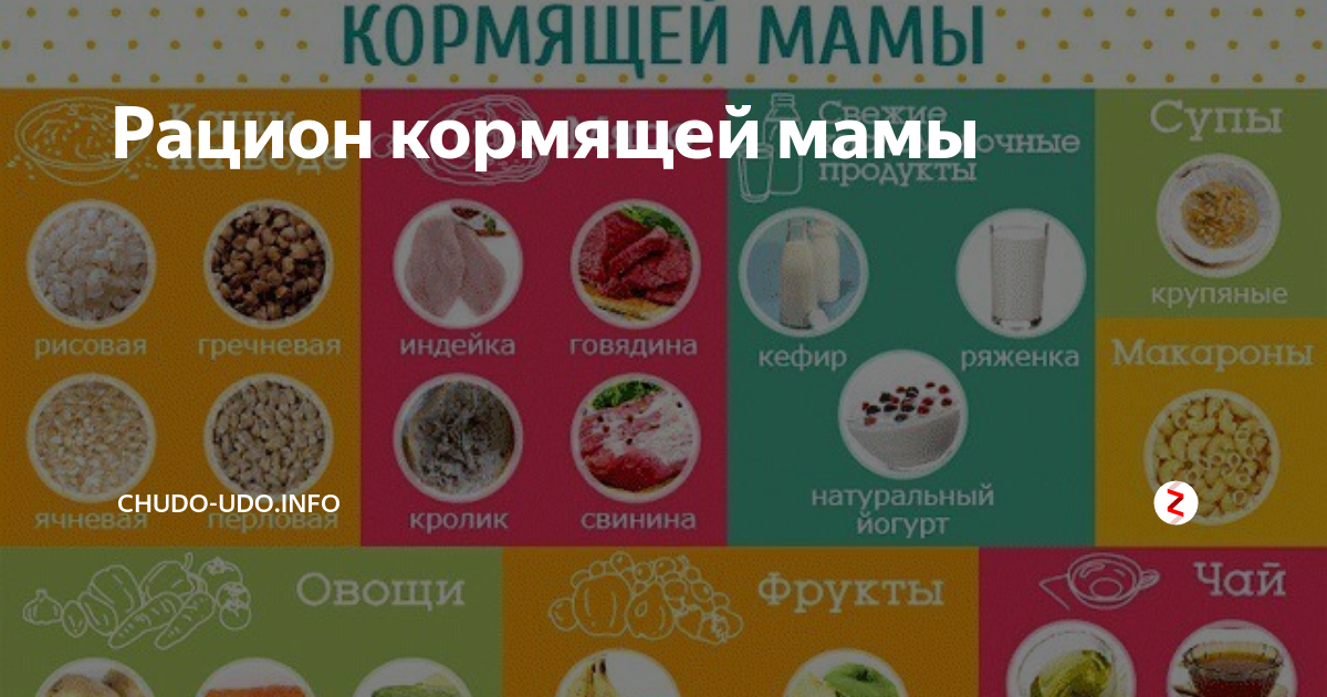 Брокколи при грудном вскармливании: критерии выбора, сроки, рецепты | ripa-russia.ru