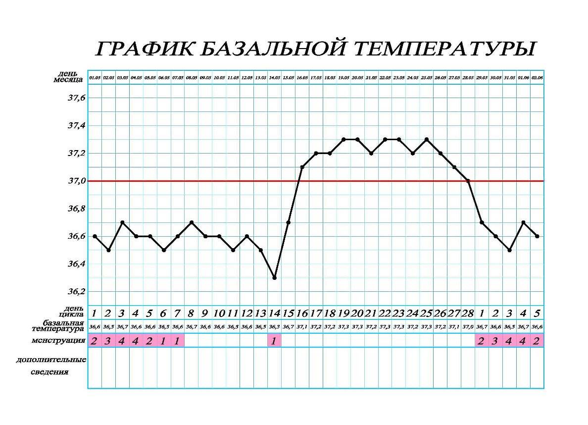 Базальная температура на ранних сроках беременности: как измерить | график базальной температуры у беременных