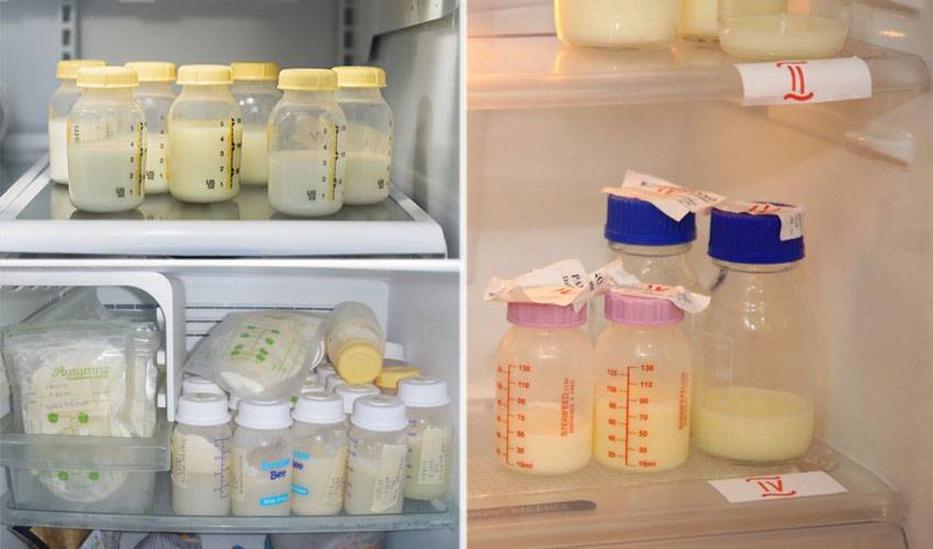 Как хранить сцеженное грудное молоко и сколько можно держать его в холодильнике?