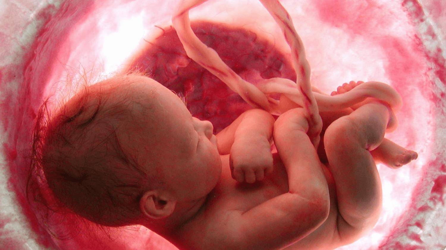 На 28 неделе беременности малыш уже жизнеспособен | аборт в спб