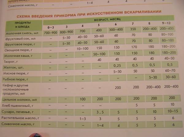 Прикорм в 4 месяца, какие продукты вводить в прикорм ребенку с 4 месяцев  - agulife.ru