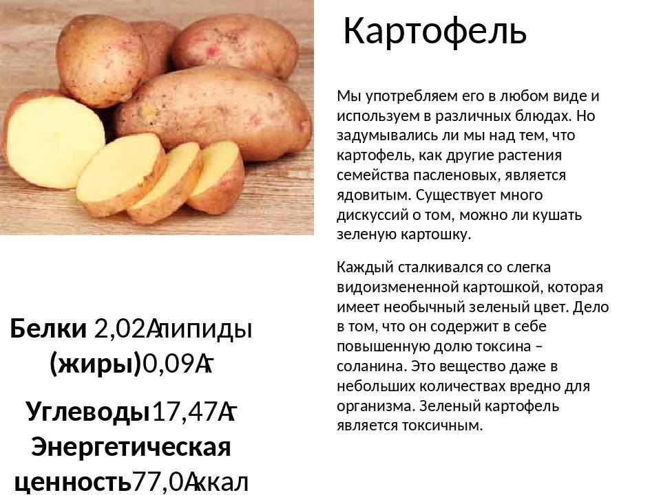 Можно ли картошку кормящим мамочкам