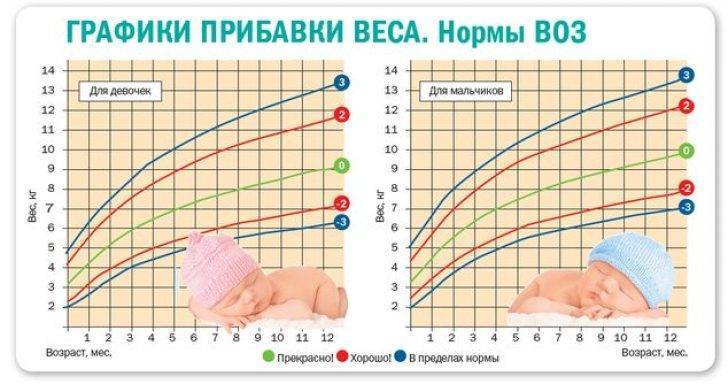 Норма прибавки веса у новорожденных по месяцам, таблица