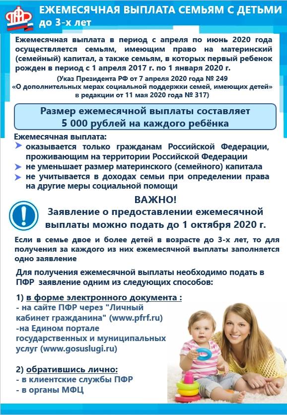 Что такое путинские выплаты на ребенка, кому они положены и как их получить