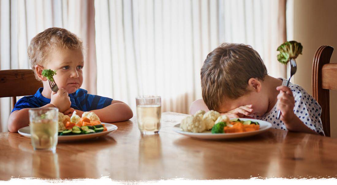 «помогите! мой ребенок не ест!» как уберечь ребенка от пищевых расстройств