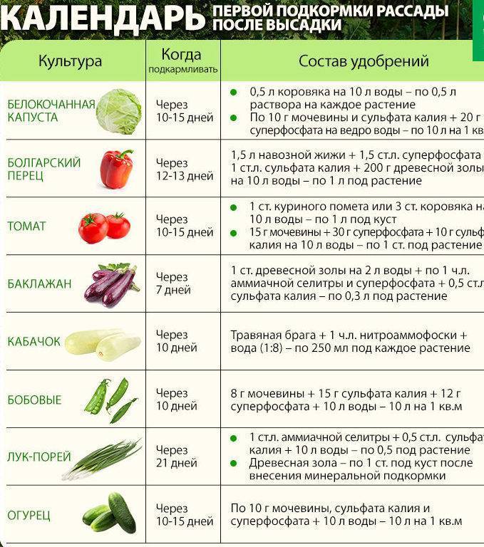 Какие овощи можно при грудном вскармливании