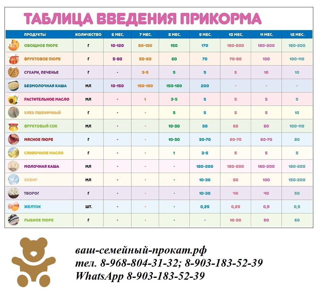 Прикорм в 4 месяца, какие продукты вводить в прикорм ребенку с 4 месяцев  - agulife.ru