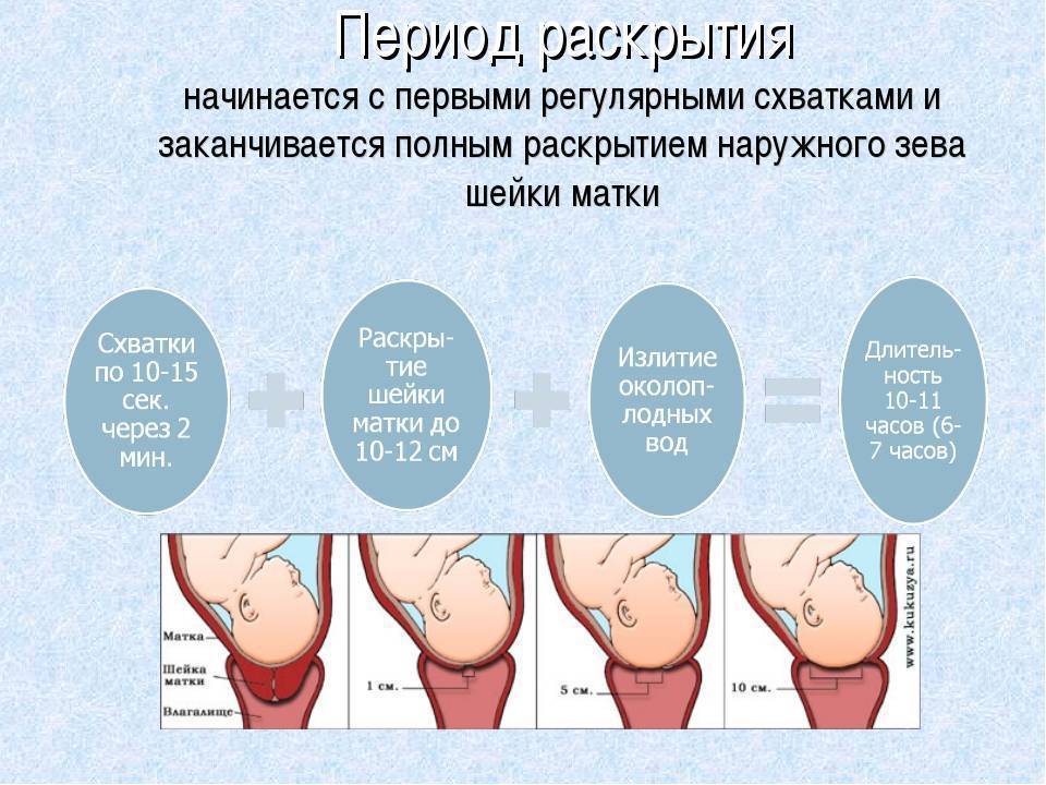 Беременность 40 недель. предвестники родов