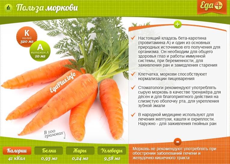 Морковь при грудном вскармливании: польза или вред