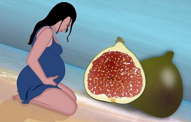 Инжир: полезные свойства и вред | food and health